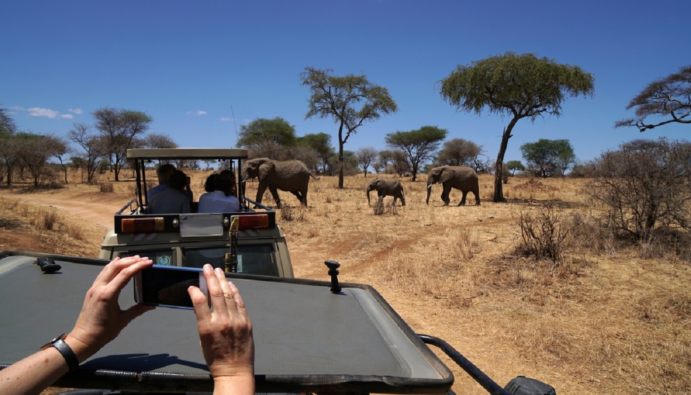 hands holding smartphone, shooting photos of  elephants at a safari